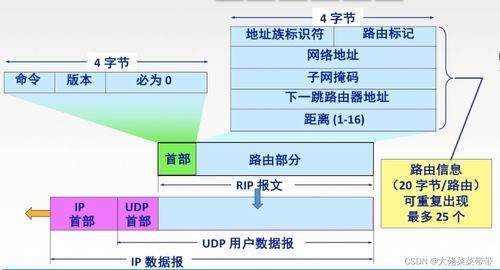 網絡層在計算機網絡開發(fā)與服務中的關鍵作用