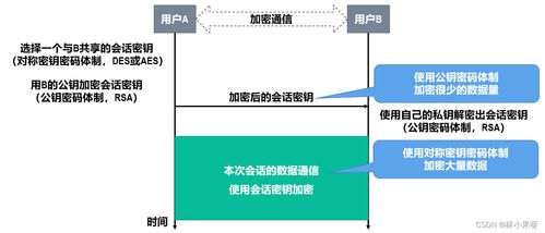 計算機網絡開發(fā)與服務中的網絡安全 守護數(shù)字世界的基石