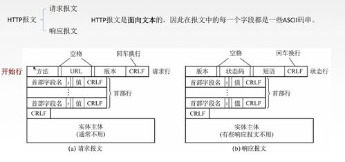 計算機網絡基礎知識之應用層 網絡開發(fā)與服務的基石