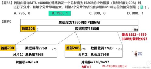 計算機網絡408題（2020-2022） 聚焦開發(fā)與服務的核心考點解析